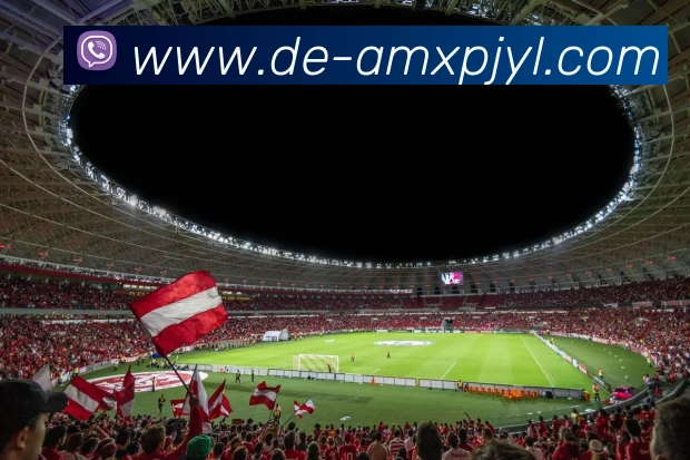 新葡京娱乐APP 封面图